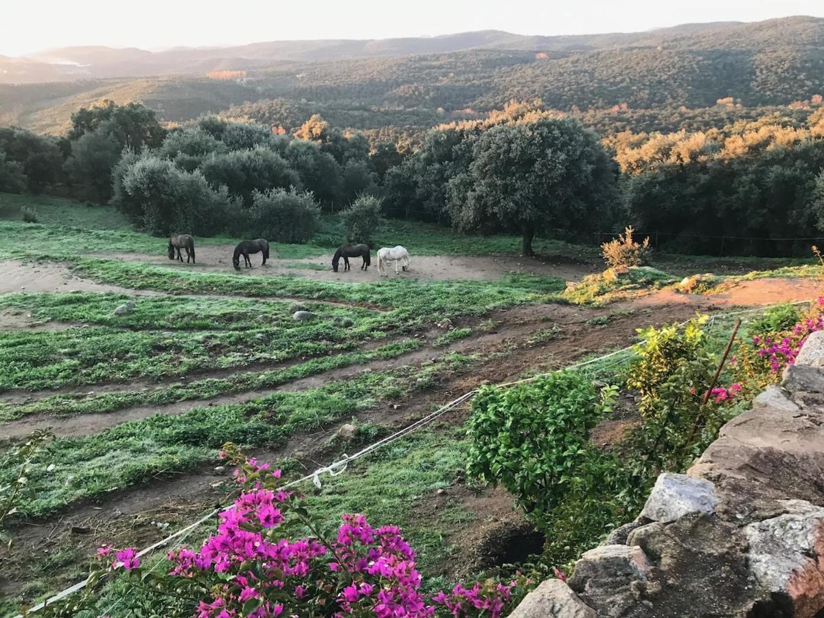 Can Maimes Agullana Exterior photo